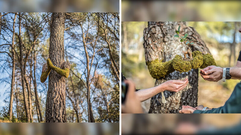 The Living Artistry of Monsieur Plant: An Astonishing Sculpture That Mimics a Human Tree