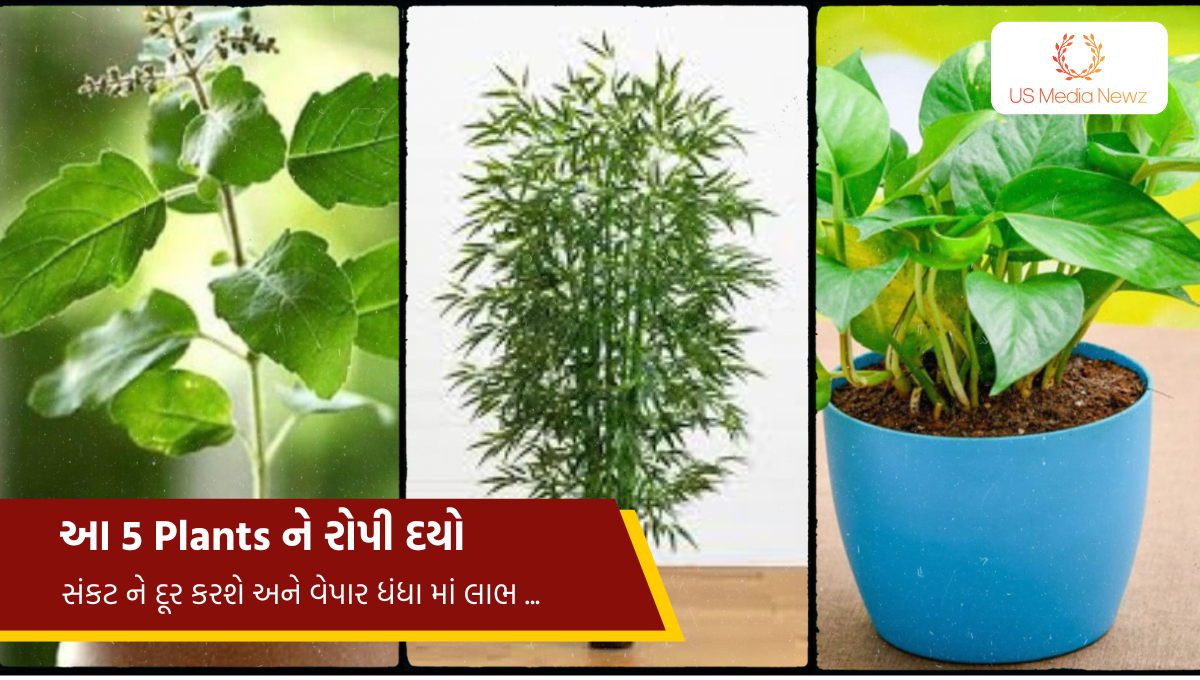 તમારા ઘર માં આ 5 Plant ને રોપી દયો, તમારા બધા જ સંકટ ને દૂર કરશે અને વેપાર ધંધા માં લાભ કરાવશે….