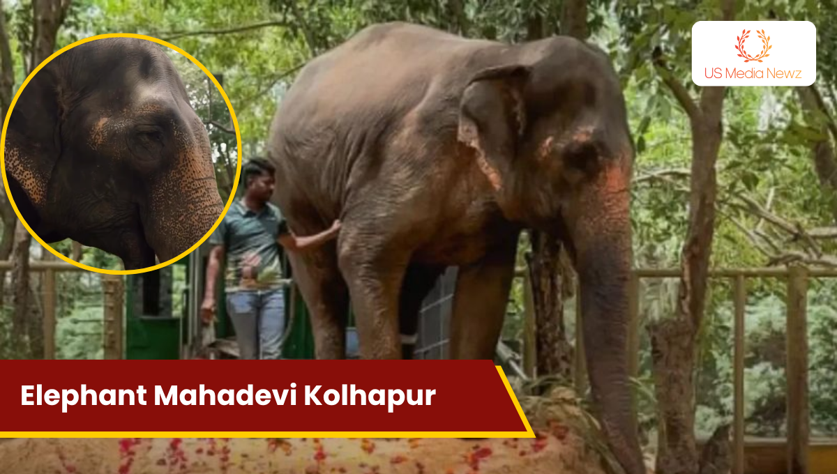 Why are thousands of people in Kolhapur walking 40 km for Gajraj Mahadevi?